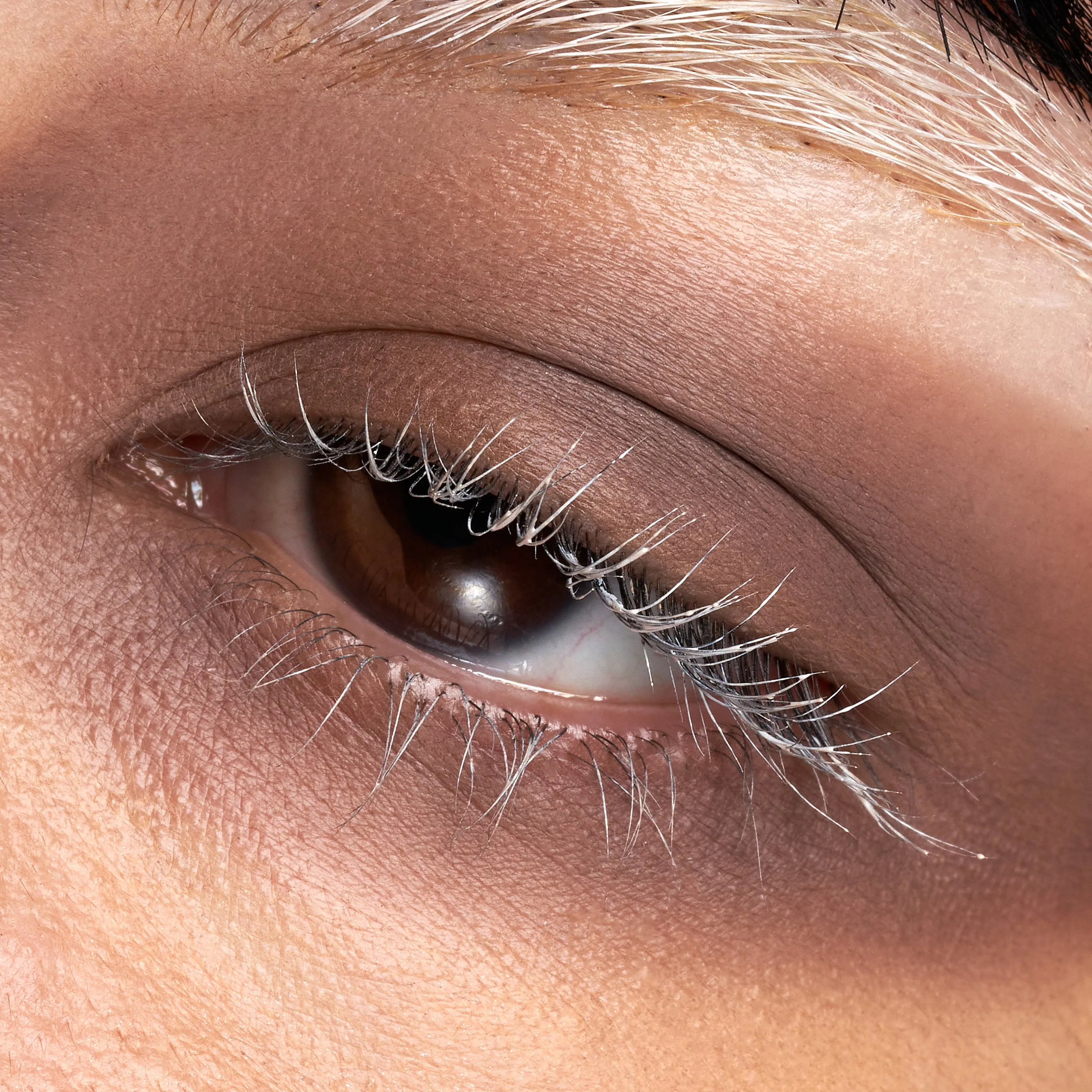 Ephemeral - Eyeshadow